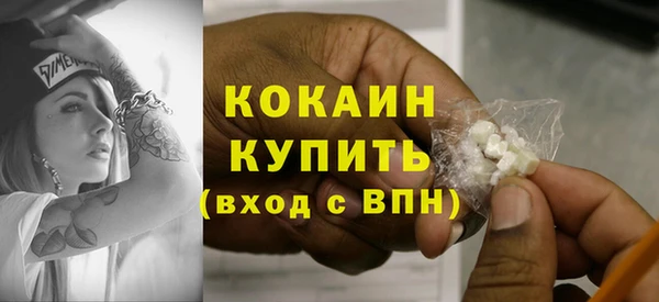 соль курить ск Новодвинск