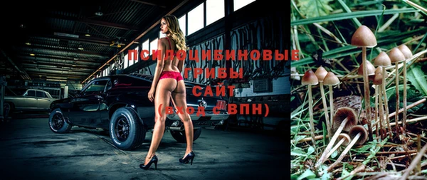 ПСИЛОЦИБИНОВЫЕ ГРИБЫ Нефтекумск