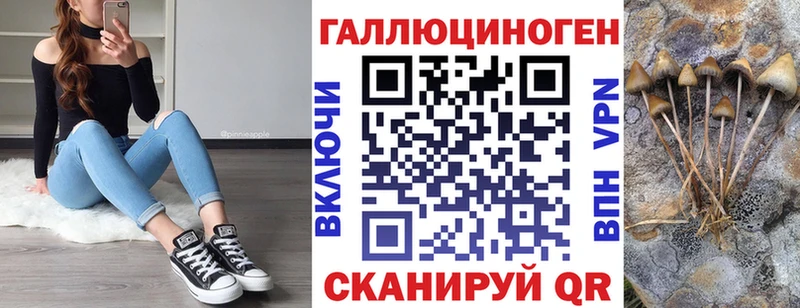 Псилоцибиновые грибы мицелий  Зубцов 